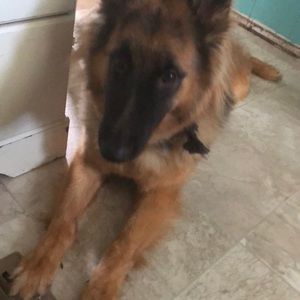 Meet your Posher, Carla